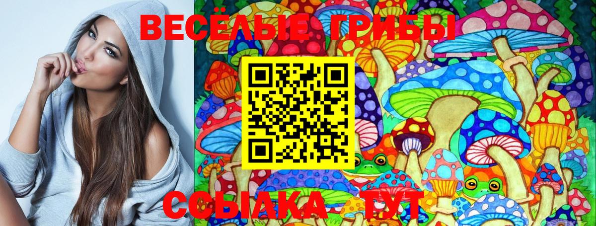 Псилоцибиновые грибы GOLDEN TEACHER Зеленодольск